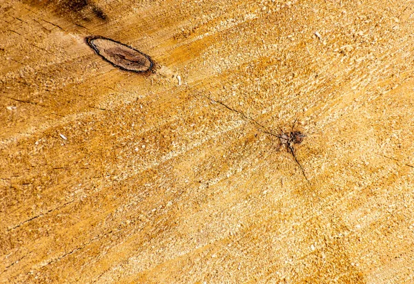 Bir Parça Ahşap Kereste Doğal Arkaplan Veya Doku — Stok fotoğraf