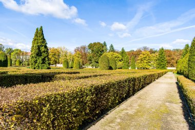 Rönesans bahçesindeki boş kum yolu. Sonbahar doğasının bir görüntüsü.