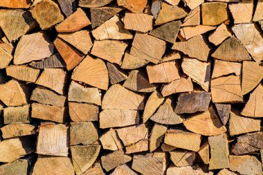 Sağlam, ekonomik olarak istiflenmiş, görüntü işlemek için odun kesimi