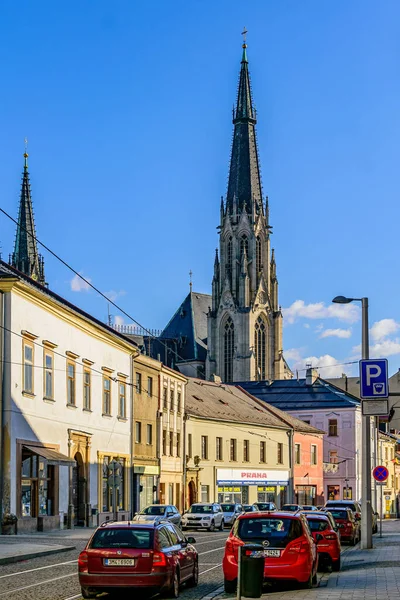Olomouc Tjeckien Februari 2022 Utsikt Över Tornet Wenceslas Cathedral Olomouc — Stockfoto