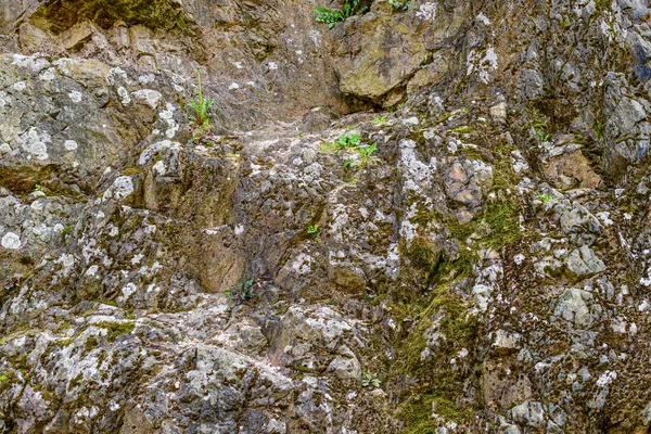 Detalle Bloque Piedra Parte Del Castillo Fortaleza Spielberk Brno Textura — Foto de Stock