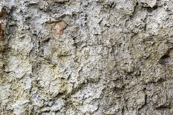 Hmal Edilmiş Eski Bir Duvarın Pürüzlü Yüzeyi Çatlak Doku Veya — Stok fotoğraf