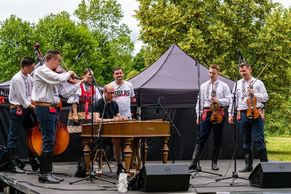 Straznice Tschechische Republik Juni 2022 Internationales Folklore Festival Dulcimer Musik — Stockfoto