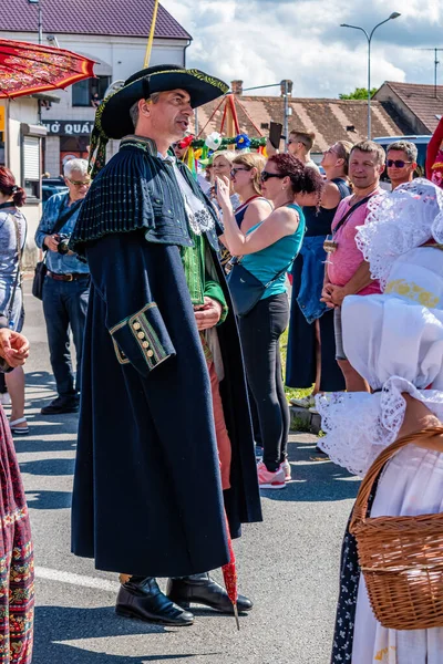 Straznice Tschechische Republik Juni 2022 Internationales Folklore Festival Ein Mann — Stockfoto