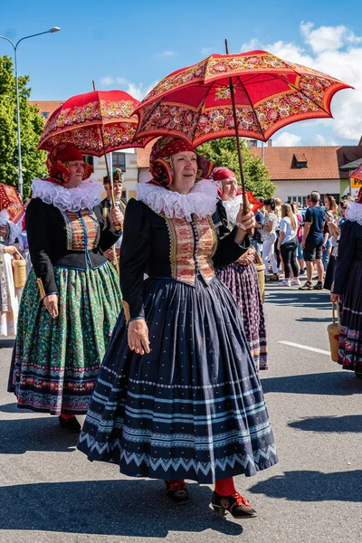 Straznice Czech Republic June 2022 International Folklore Festival 6Ena Folk — Stock Photo, Image