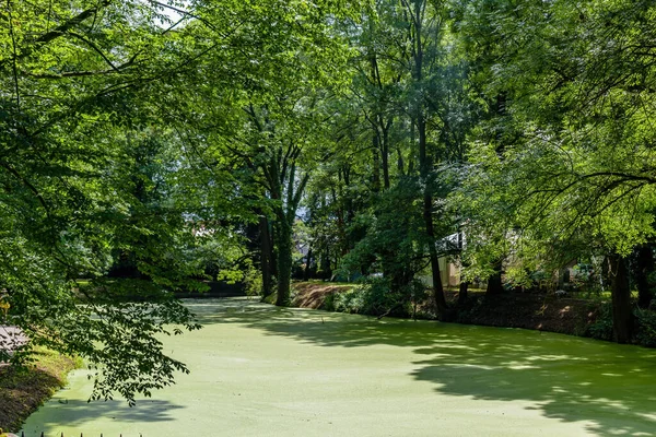 Castle pond in the park in Straznice overgrown with duckweed. Photo to the tourist guide