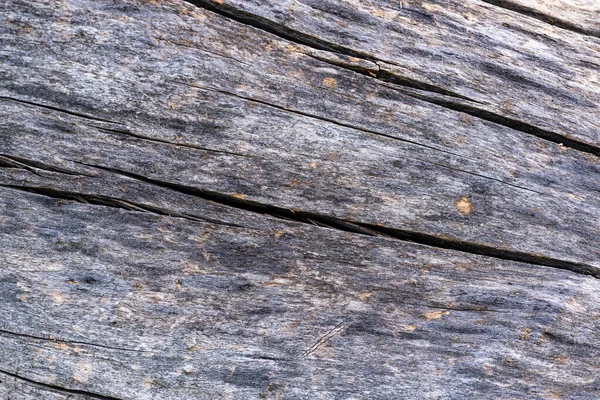 Texture Background Further Work Detail Trunk Tall Tree Bark Cracks — Stok fotoğraf