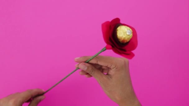 Papel Vermelho Rosa Flor Com Chocolate Centro Caule Verde Feito — Vídeo de Stock