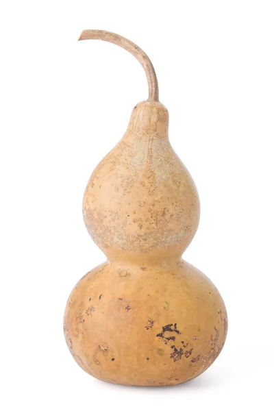 Bottle gourd isolated on a white background — Stock Photo, Image