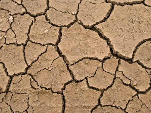 Dried and cracked earth - global warming danger — Stock Photo, Image