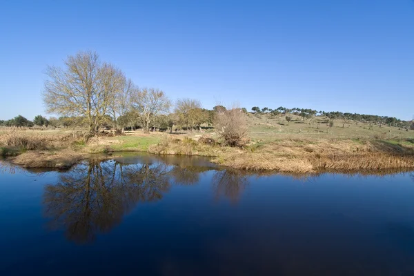 Rurale landschap in alentejo, portugal — Stockfoto