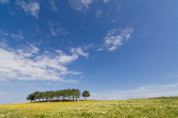Spring landscape in Alentejo, Portugal. — Stock Photo, Image