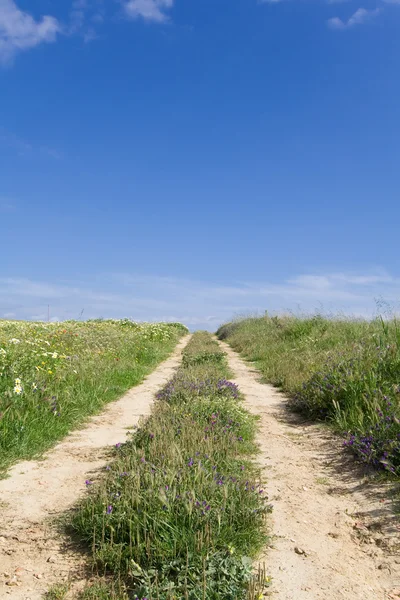 Track in a spring landscape at Alentejo, Portugal. — Stock Photo, Image