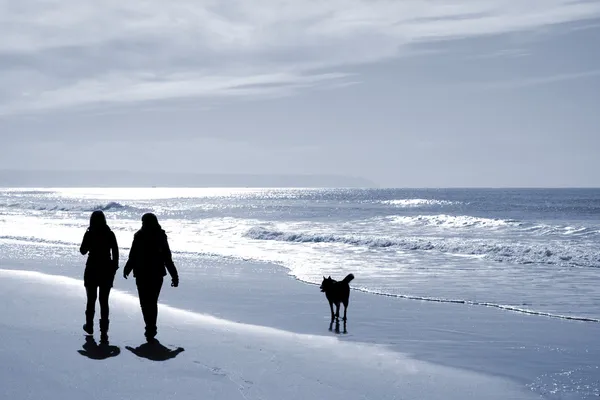 Due donne che camminano in spiaggia in inverno con un cane Immagini Stock Royalty Free