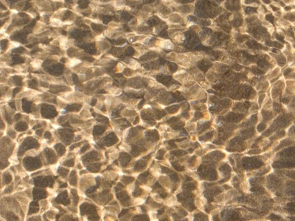 A strandon, leopárd foltok áttetszőséggel sekély vízben — Stock Fotó