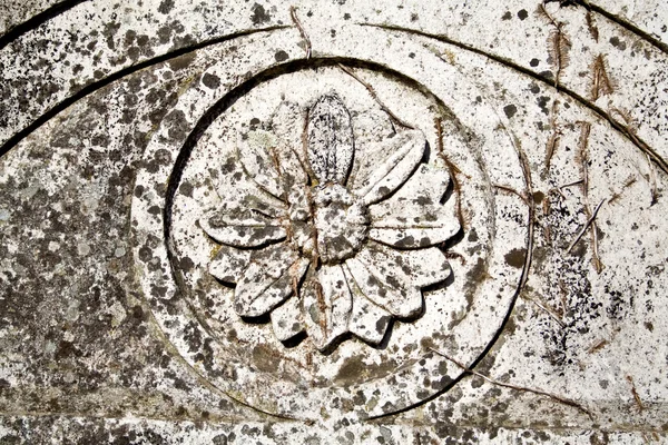 Medieval bas-relief of a flower — Stock Photo, Image