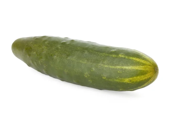 Rijp komkommer geïsoleerd op een witte achtergrond — Stockfoto