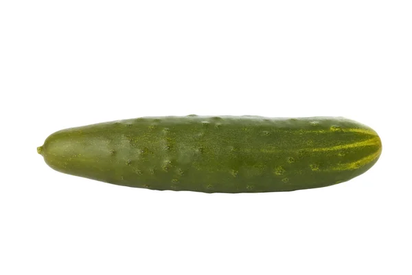 成熟的黄瓜，在白色的背景上隔离 — 图库照片