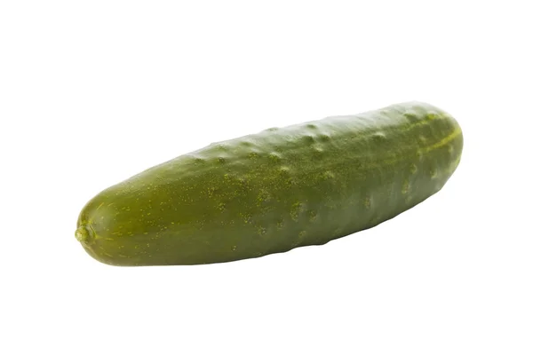 Rijp komkommer geïsoleerd op een witte achtergrond — Stockfoto