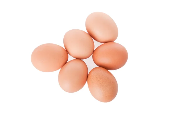 半打棕色鸡蛋被隔绝在白色背景上 — 图库照片