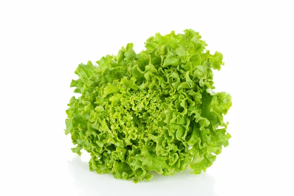 Ripe lettuce isolated in a white background — Stock Photo, Image