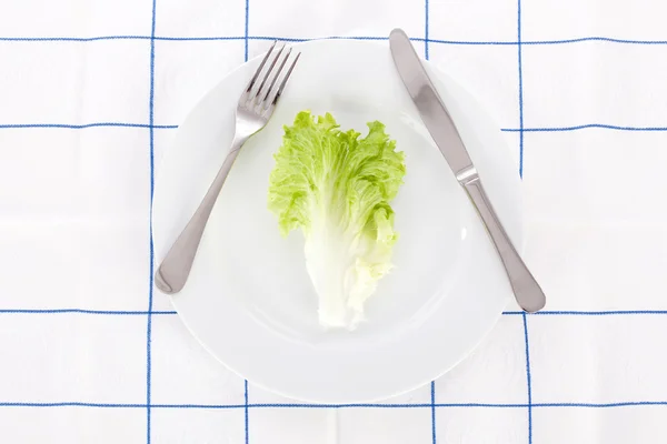 Concept pour l'alimentation avec une feuille de laitue sur un plat — Photo