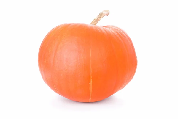 Big pumpkin for Halloween isolated on white — Stock Photo, Image