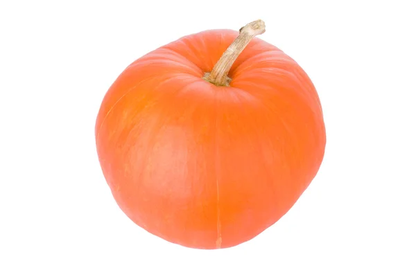 Grote pompoen voor halloween geïsoleerd op wit — Stockfoto