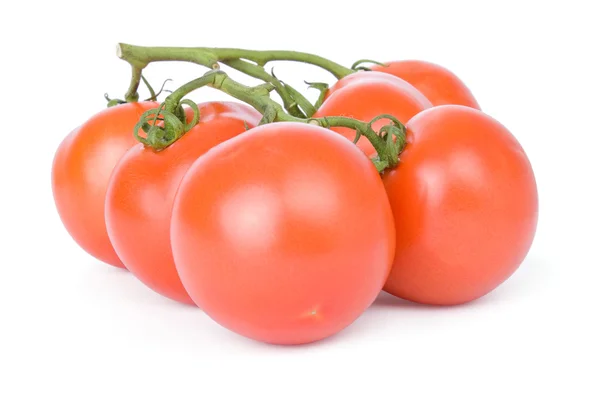 Ripe tomatoes isolated on a white background — Stock Photo, Image