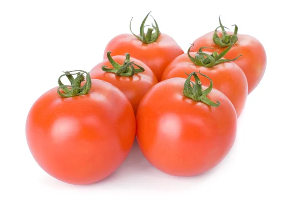 Ripe tomatoes isolated on a white background — Stock Photo, Image