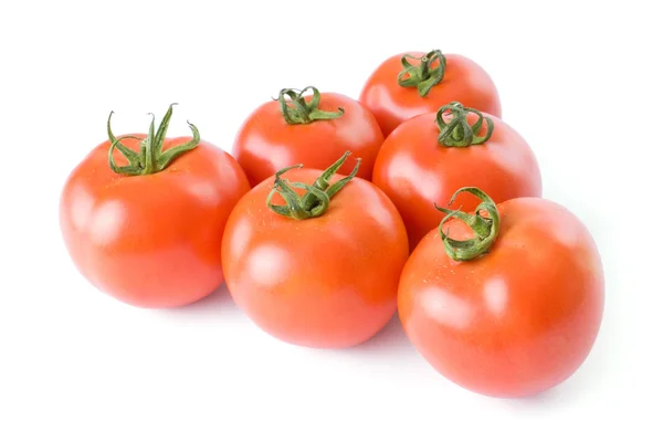 Ripe tomatoes isolated on a white background — Stock Photo, Image