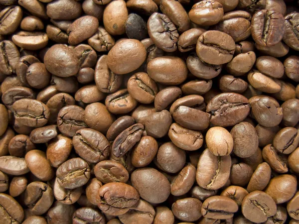 Background made of coffee beans — Stock Photo, Image