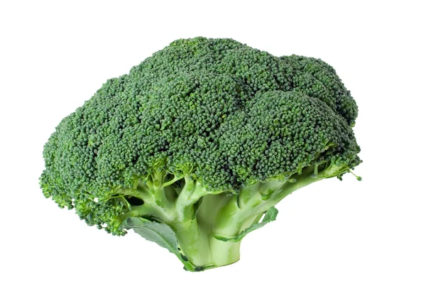 Bainha nutritiva de brócolis isolada sobre fundo branco — Fotografia de Stock