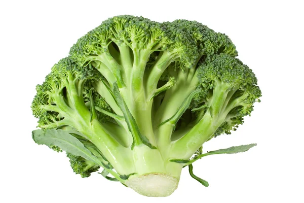 Nutritious broccoli sheaf isolated on white background — Stock Photo, Image