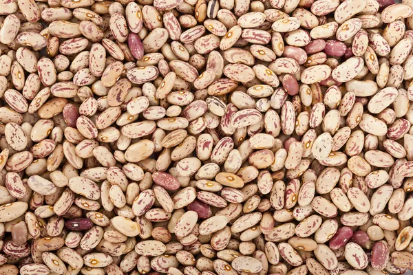 Pinto beans or mottled beans in a background — Stock Photo, Image