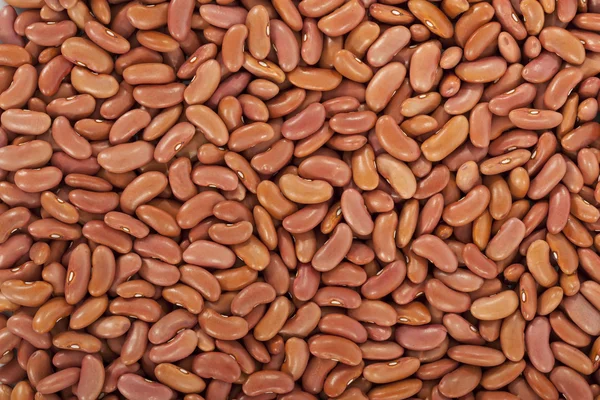 Kidney beans or red beans in a background — Stock Photo, Image