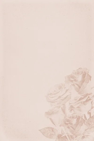 Rosen in einer romantischen Illustration — Stockfoto