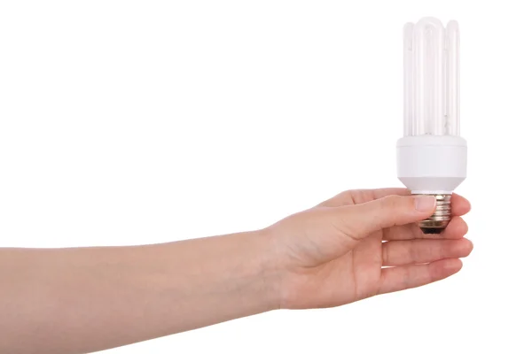 Hand holding compact fluorescent light bulb isolated on white — Stock Photo, Image