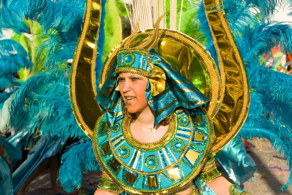 Membre de la section Ala d'une école de samba dans le carnaval brésilien — Photo