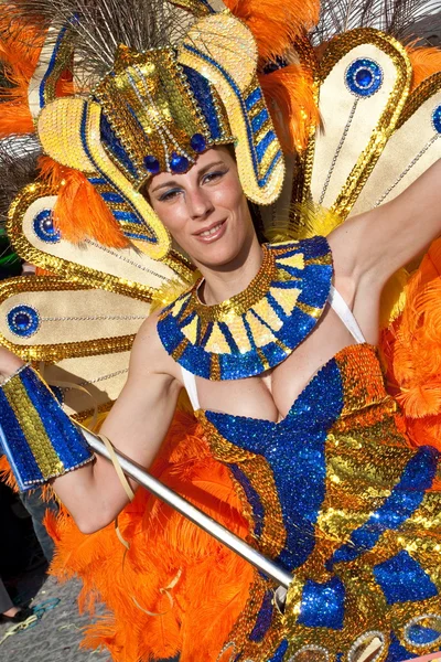 Personaje de Porta-Bandeira de una Escuela de Samba en un Carnaval Brasileño —  Fotos de Stock