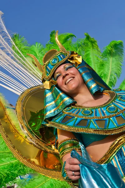 Medlem i avsnittet ala i en samba skolan i brasilianska karnevalen — Stockfoto