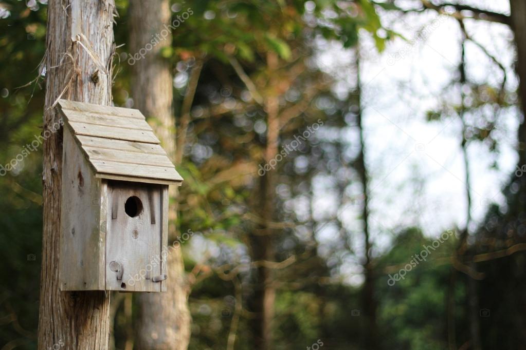 Rustic birdhouse on a pole