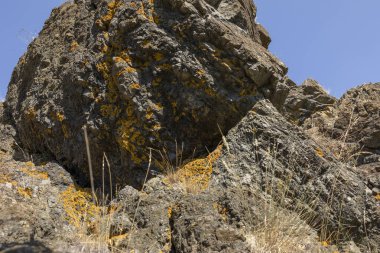 Parcellara taşı, Piacenza ili Trebbia Vadisi 'nde yer alan Ligurian Apennines' deki bir dağdır..