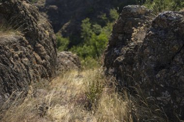 Parcellara taşı, Piacenza ili Trebbia Vadisi 'nde yer alan Ligurian Apennines' deki bir dağdır..