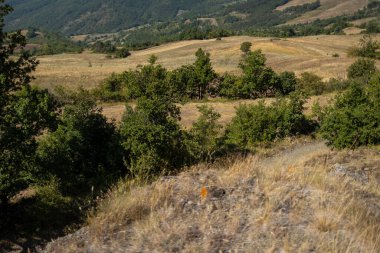 Parcellara taşı, Piacenza ili Trebbia Vadisi 'nde yer alan Ligurian Apennines' deki bir dağdır..