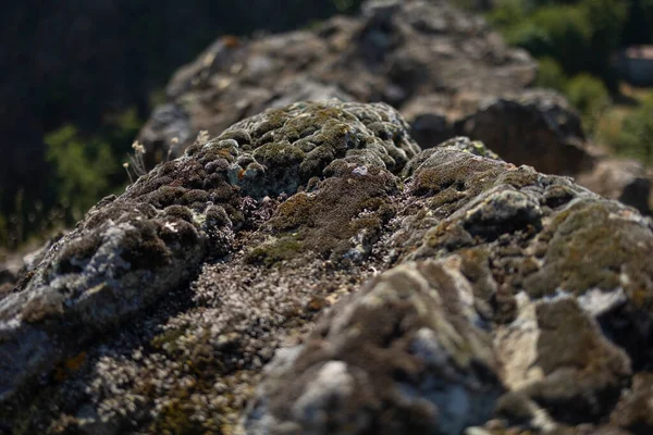 パルチェラーラ石 Parcellara Stone ピアチェンツァ州トレビア渓谷にあるリグーリア地方のアペニン山脈にある山である — ストック写真