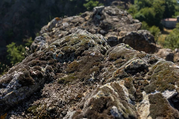 Piedra Parcellara Una Montaña Los Apeninos Liguria Situada Valle Trebbia — Foto de Stock
