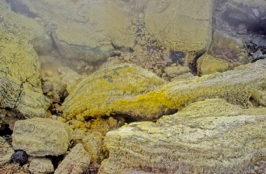 Waiotapu, Yeni Zelanda 'nın Taupo Volkanik Bölgesi' nde, Rapor kalderasının hemen kuzeyinde, Okataina Volkanik Merkezi 'nin güney ucunda aktif bir jeotermal bölgedir..