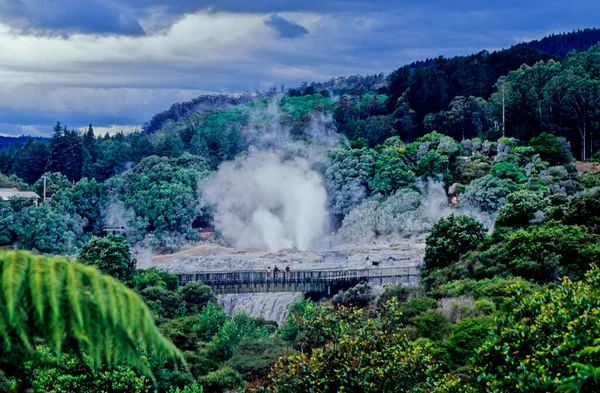 Pohutu Geyser Egy Gejzír Whakarewarewa Thermal Valley Ben Rotoruában Zéland — Stock Fotó