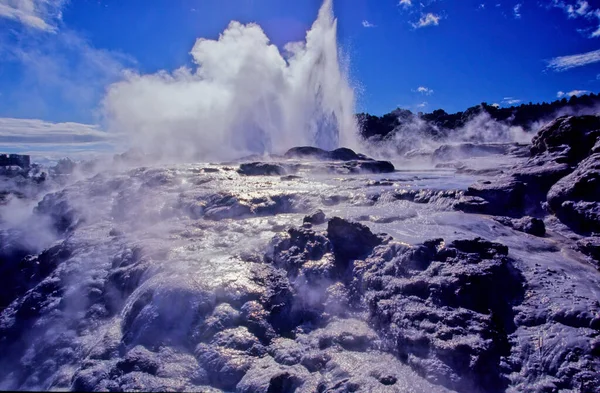 Pohutu Geyser Geyser Whakarewarewa Thermal Valley Rotorua North Island New — Stock Photo, Image